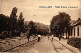 T2 1918 Szilágysomlyó, Simleu Silvaniei; Vasútállomás és Fenyves / Bahnhof / Railway Station, Pine Wood - Zonder Classificatie