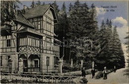 T2 1911 Tusnádfürdő, Baile Tusnad; Elza Villa. Brunner Lajos Kiadása / Villa - Unclassified