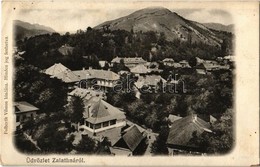 T2/T3 1908 Zalatna, Zlatna; Látkép. Kiadja Folberth Vilmos / General View (fl) - Unclassified