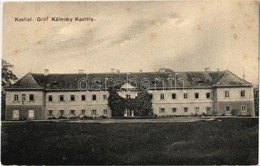 * T2/T3 Csicsó, Cicov; Gróf Kálnoky Kastély / Schloss / Kastiel / Castle  (fl) - Zonder Classificatie