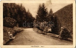 T2/T3 1917 Fenyőháza, Lubochna; Ilka út. Madarassy Béla Felvétele / Road (EK) - Sin Clasificación