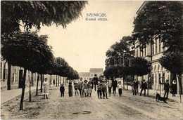 T2 1915 Szenice, Szenicz, Senitz, Senica Nad Myjavou, Senica; Kunoi Utca / Street - Ohne Zuordnung