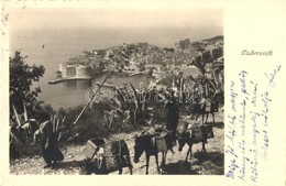 T2/T3 Dubrovnik, Ragusa; General View, Donkey (EK) - Ohne Zuordnung