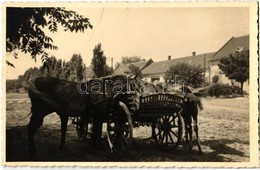 * T2 1941 Nagykárolyfalva, Károlyfalva, Karlsdorf, Banatski Karlovac; Wagen / Szénás Szekér Lovakkal / Hay Wagon With Ho - Sin Clasificación