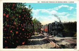 * T2/T3 Florida, Traveling Through An Orange Grove, Locomotive (Rb) - Non Classés