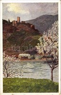 ** T2/T3 Spitz An Der Donau, Ruine Hinterhaus, Erste Donau-Dampfschiffahrts-Gesellschaft Wien / River, Ship, Castle Ruin - Zonder Classificatie