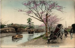 ** T2 Yokohama, Cherry Blossom At Horiwari Negishi, Rickshaw - Sin Clasificación