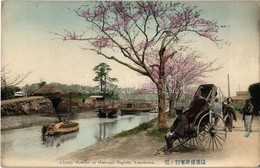 ** T2 Yokohama, Cherry Blossom At Horiwari Negishi, Rickshaw - Ohne Zuordnung