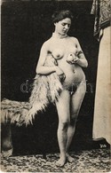 ** T2/T3 Vintage Erotic Nude Lady. Künstler Akt-Studie (non PC) (EK) - Sin Clasificación