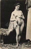 ** T2/T3 Vintage Erotic Nude Lady. Künstler Akt-Studie (non PC) (EK) - Zonder Classificatie