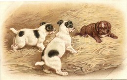 ** T3 Dogs, G.O.M. 2429. Litho (EB) - Ohne Zuordnung