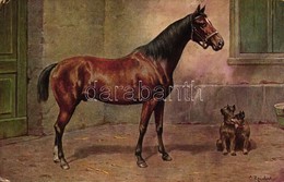 T3 Trackehner Und Pinscher / Horse, Dogs S: Carl Reichert (fl) - Ohne Zuordnung