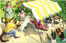 T2/T3 1983 Cats In Summer. Alfred Mainzer ALMA 4889. (EK) - Zonder Classificatie