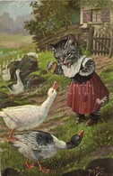 ** T3 Cat Feeding The Ducks. T. S. N. Serie 1830. (6 Dess.) S: Arthur Thiele (EB) - Zonder Classificatie