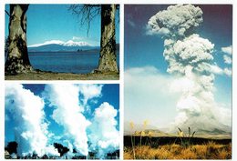 Neuseeland, New Zealand, Taupo - New Zealand