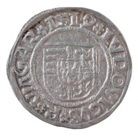 1519K-G Denár Ag 'II. Lajos' (0,62g) T:1-
Hungary 1519K-G Denar Ag 'Louis II' (0,62g) C:AU
Huszár: 841., Unger I.: 673.m - Sin Clasificación