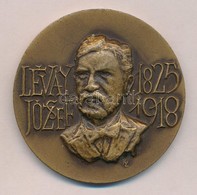 Képíró Zoltán (1944-1981) 1973. 'Lévay József 1825-1918 / Lévay József Tudományos Könyvtár Emlékérme' Br Emlékérem (50mm - Unclassified
