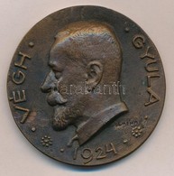 Reményi József (1887-1977) 1924. 'Végh Gyula 1924' Br Emlékérem (62mm) T:2 - Non Classés