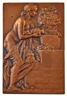 Róna József (1861-1939) 1911. 'Országos Magyar Képzőművészeti Társulat' Br Plakett (60x88mm) T:1-,2
HP 4511. - Non Classés