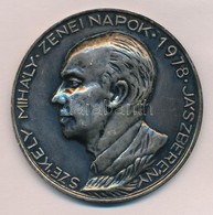 1978. 'Székely Mihály Zenei Napok 1978 - Jászberény' Ezüstözött Fém Emlékérem (60mm) T:2 - Non Classés