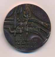 1981. 'Balatonszentgyörgy-Csillagvár / Keszthelyi Éremgyűjtő Csoport' Kétoldalas Br Emlékérem (49mm) T:1- - Non Classés