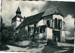 DAMBACH-LA-VILLE CPA 67 Bas-Rhin Chapelle St Sébastien Photo Véritable Ed La Cigogne - Dambach-la-ville