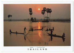 Thailand, Catching Fish - Thailand