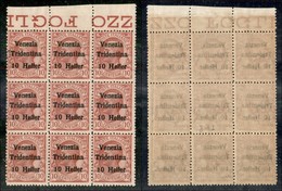 OCCUPAZIONI I GUERRA MONDIALE - Trentino-Alto Adige - 1918 - 10 Heller Su 10 Cent Leoni (29 X8 + 29c) - Blocco Di 9 Bord - Altri & Non Classificati