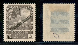 OCCUPAZIONI I GUERRA MONDIALE - Fiume - 1921 - 3 Lire Costituente (173) - Gomma Originale (240) - Autres & Non Classés