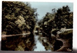 Delcampe - REF 381 : CPSM 37 VOUVRAY La Cisse - Vouvray