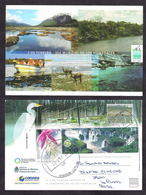Argentina - 2011 - Entier Postal - 2 Février - Journée Mondiale Des Zones Humides - Écologie - Protection De L'environne - Protección Del Medio Ambiente Y Del Clima