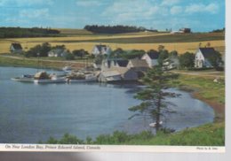REF 358 : CPSM CANADA On New London Bay Prince Edward Island - Other & Unclassified