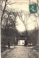 CARTE Postale Ancienne  De LE  HAVRE - Forêt De Montjeon - Forêt De Montgeon