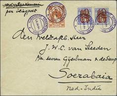 Netherlands Air Post Stamps - Other & Unclassified