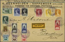 Netherlands Air Post Stamps - Sonstige & Ohne Zuordnung