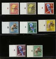 Netherlands New Guinea - Altri & Non Classificati