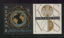 POLAND 1966 SIERADZ PHILATELIC EXHIBITION EXPO LABEL STAMP SPACE ROCKET EARTH SATELLITE ORBIT COSMOS CINDERELLA - Sonstige & Ohne Zuordnung