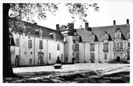 PIE.T.19-8840 : MEZIERES SUR ISSOIRE. CHATEAU. - Meziere Sur Issoire