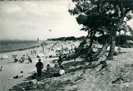 Saint Brévin Les Pins CPA CP 44 Loire Atlantique  La Plage Et Les Pins Ed Chapeau - Saint-Brevin-les-Pins