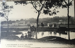 HALINGHEN , Près SAMER .  La Grande Mare ,  Ferme De Nienbourg .  SUPERBE Et RARE . - Samer