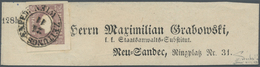 Österreich: 1859, (1,05 Kreuzer) Tiefdunkellila Zeitungsmarke, Type II, Farbfrisch, Allseits Breit- - Neufs