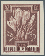 Österreich: 1948, 30 G Frühlingskrokus Für Den Anti-Tuberkulose-Fonds, Nur Stichtiefdruck Ungezähnt - Unused Stamps
