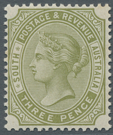 Südaustralien: 1899, Queen Victoria 3 Pence Oliv Perf. 13 Tie Proof Without Watermark Mint Never Hin - Brieven En Documenten