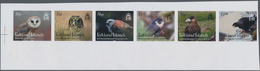 Falklandinseln: 2016, Birds Of Prey, IMPERFORATE Proof Strip Of Six, Mint Never Hinged. - Islas Malvinas