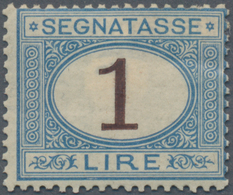 Italien - Portomarken: 1870, Postage Due 1 Lira Blue/brown In Fresh Color With Perfect Perforation A - Segnatasse