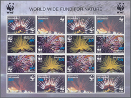 Thematik: WWF: 2005, MICRONESIA: WWF (Maldives Feather Star) In Complete Perforate And IMPERFORATE S - Andere & Zonder Classificatie