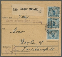 Deutsches Reich - Inflation: 1923, Korbdeckel-Ausgabe, Höchst Attraktive Inlands-Paketkarte Vom Letz - Lettres & Documents