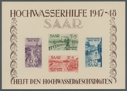 Saarland (1947/56): 1948, "Hochwasser-Blockpaar Als Ministerblocks Auf Kartonpapier", Tadellose Bloc - Otros & Sin Clasificación