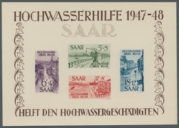 Saarland (1947/56): 1948, "Hochwasser-Blockpaar Als Ministerblocks Auf Kartonpapier", Tadellose Bloc - Sonstige & Ohne Zuordnung