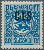 Deutsche Abstimmungsgebiete: Schleswig - Dienstmarken: 1920: 20 Pfg Dunkelgrauultramarin Mit Doppelt - Other & Unclassified